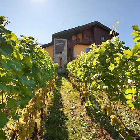 La Vigne De Papagran App1 * Aosta