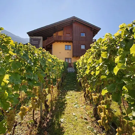 La Vigne De Papagran App1 Aosta